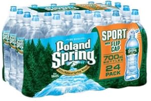 Poland Spring 100% Natural Spring Water (700 ml bottles, 24 pk.)