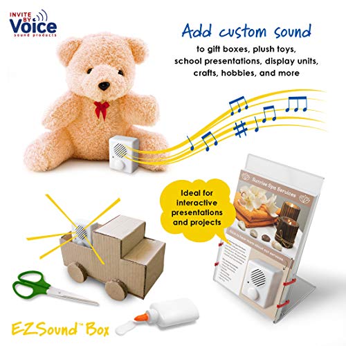1 EZSound+Box+Personal+Messages+Rerecordable