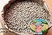 Premium Winter Rye Grass Seed by Old Cobblers Farm 25 lb. Bulk Box