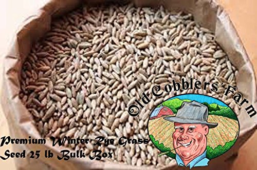 Premium Winter Rye Grass Seed by Old Cobblers Farm 25 lb. Bulk Box