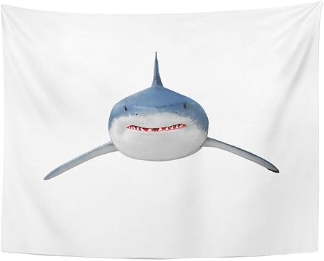 Amazon Co Jp 装飾壁のタペストリーホオジロザメcarcharodon Carchariasは世界最大の既知の現存する捕食性魚の動物の寝室のリビングルームの寮の壁掛けピクニック60 X 50インチ 150x130cm ホーム キッチン