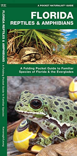 image for Florida Reptiles & Amphibians: A Folding Pocket Guide to Familiar Spec