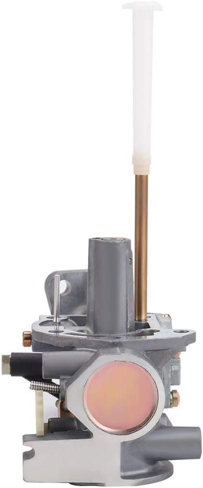 Dxent 498298 Carburetor for 692784 495951 492611 490533 495426 5HP w/Air Fuel Filter Gasket Parts Kit Engine Troy-bilt Rototiller Generac Generator Craftsman Tiller Power Washer Lawnmower : Garden & Outdoor