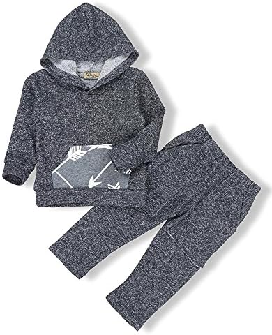 Zefeng 2Pcs Baby Boys Grey Clothes Three-Dimensional Pattern Hooded Sweatshirt Long Sleeve Outfit Set