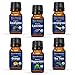 Nexon Botanics Organic Essential Oil Set - Pure Natural USDA Organic Essential Oils Kit - Best Aromatherapy, Diffuser Oils Set - Lavender, Peppermint, Eucalyptus, Tea Tree,Orange,Lemongrass 6 x 10 ml