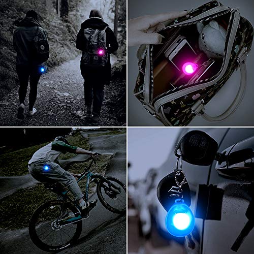 DOMIGLOW 2Pcs Dog Collar Light - Led Dog Tag Lighted Dog Pendants Glow in Dark Pet ID Tags Dog Lights for Night Walking & Camping (Pink & Blue)