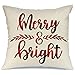 AENEY Farmhouse Christmas Plaid Pillow Cover 18x18 inch for Christmas Decor Black and Red Buffalo Check Throw Pillow Merry and Bright Christmas Decorations Throw Pillow Cover