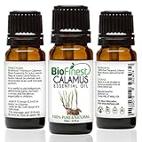 BioFinest Calamus Oil - 100% Pure Calamus Essential Oil - Aid Indigestion, Stomach Pain & Cramps - Premium Quality - Therapeutic Grade - Best For Aromatherapy - FREE E-Book (10ml)
