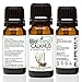BioFinest Calamus Oil - 100% Pure Calamus Essential Oil - Aid Indigestion, Stomach Pain & Cramps - Premium Quality - Therapeutic Grade - Best For Aromatherapy - FREE E-Book (10ml)