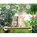 ZALALOVA Window Cat Seat, Cat Window Perch Hammock Space Saving Design w/1Pc Funny Cat Toy 1Pc Extra Suction Cup Window Seat Cat Shelves All Around 360° Sunbath Holds Up to 50lbs for Any Cat Size