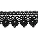 Trimscraft 2 Inch Wide Rayon Lace Trim Venise Lace Eyelet Fabric Pack of 14 Yards (Black)