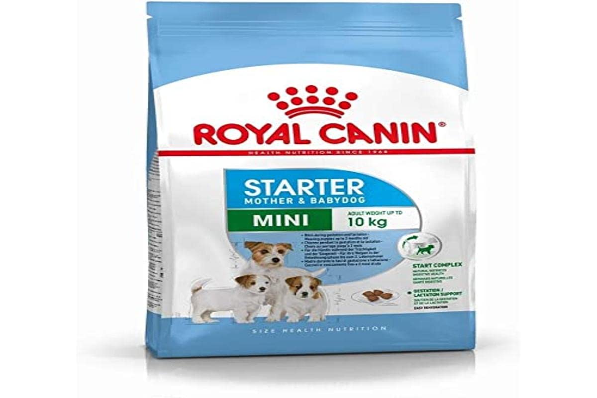 ROYAL CANIN Mini Starter Mother and Babydog 1kg