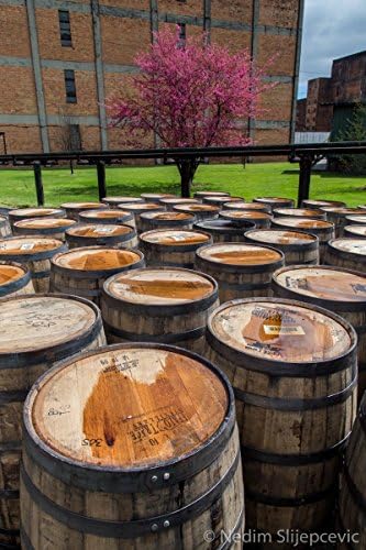 Large Format Canvas or Unframed Photo Print, Bourbon Whiskey Barrels, Man Cave Bar Decor, Decor for Bathroom, Bedroom, Living Room, Hotel