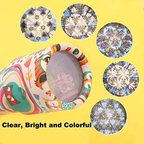 1 HAPTIME+Classic+Kaleidoscopes+Educational+Children