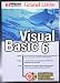 Grand livre Visual Basic 6 by 