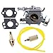 Hipa Carburetor with Repower Kits for Poulan 2200 2275 2500 2600 2750 2775 2900 3050 PP255 PP295 PP310 PP315 PP4620AVL PP4620AVX PP4620AVHD Gas Chainsaw
