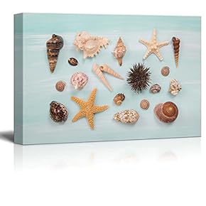 Canvas Prints Wall Art - Arrangement of Different Shells and Starfishes on Blue or Turquoise Wooden Background - 12" x 18"
