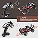 Remote Control Car RC Buggy - 2 WD 2.4Ghz Off-Road Racing Truck 1:16 RC Car with 2 Rechargeable Battery &Storage Bag(Red)