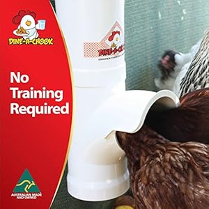 DINE A CHOOK 3.5l alimentatore - il cibo non più sprecato! - immagine 6