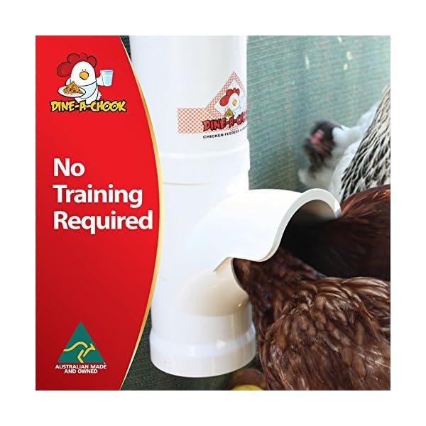 DINE A CHOOK 3.5l alimentatore - il cibo non più sprecato!