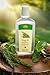 Nature's Artisan Rosemary Mint All-Natural Alcohol-Free Xylitol Mouthwash (16 oz)