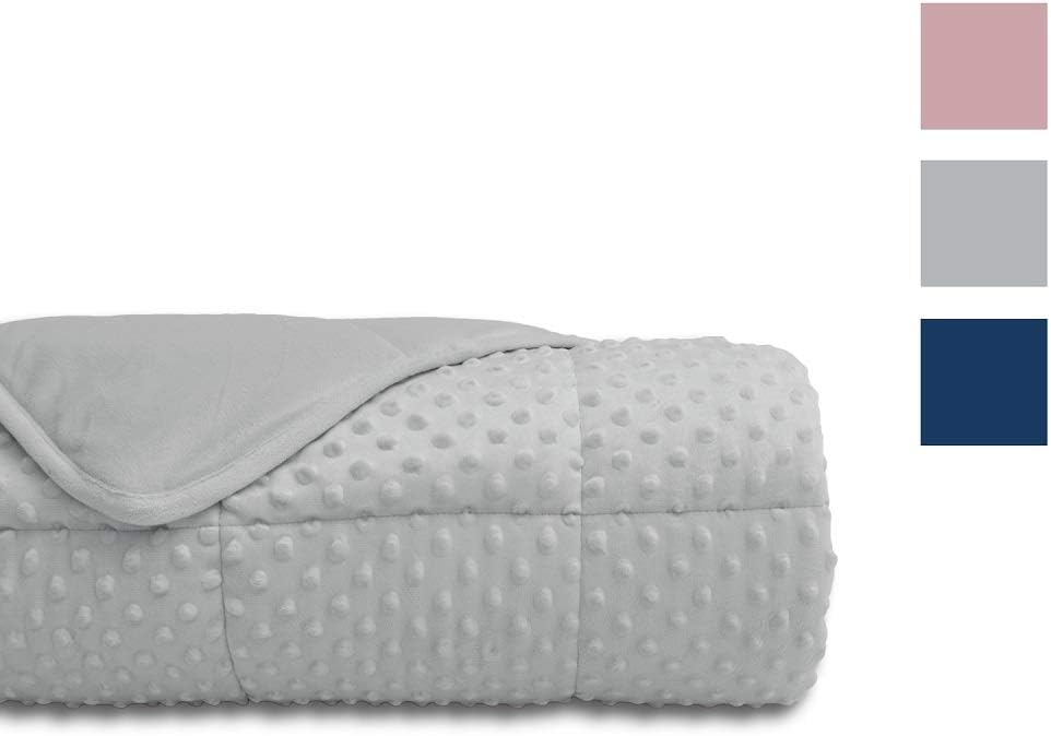 ALANSMA Reversible Weighted Blanket for All Season, Luxury Velvet, Warm and Cool, Adult 20Lb Weighted Blanket, Enjoy Sleeping Anywhere(Grey, 60''x80''20lbs)