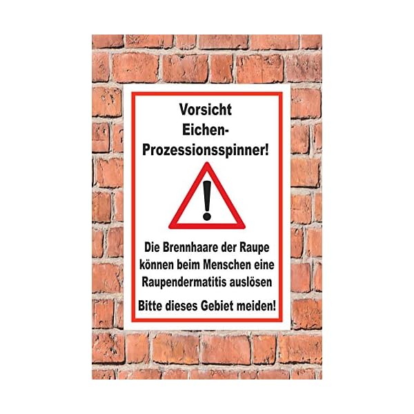 Melis-Folienwerkstatt Schild Eichen-Prozessionsspinner - 30x20cm - 3mm Hartschaum â 20 VAR S00359-121-B – Bild 3