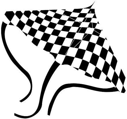 Gayla Kites Rally Sport 4 Foot Wingspan Stunt Kite