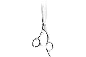 AOLANDUO Professional Hair Cutting Shears, Japanese Stainless Steel Barber Scissors, Convex Edge, Ergonomic Right-Handed, Sal