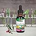 Nature's Answer Uva Ursi Leaf Liquid Drops with Organic Alcohol, 1000mg, 1-Fluid Ounce | Urinary Tract Support | Supports Nephrotic System Function | Vegan, Non-GMO | Single Count