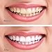 Teeth Whitening Powder Made in USA NATURALLY WHITEN TEETH and REMOVES BREATH Best Natural Tooth Whitener Product (Peppermint)