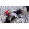 Fishing-lure-kit-35-soft-baitsmall-10-lead-head-hook-lure-soft-fishing-lures-set-soft-baits-fishing-tackle-fishing-bait