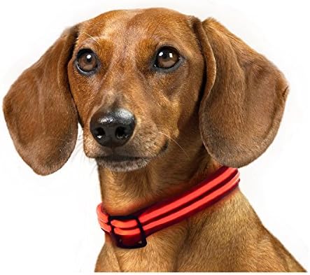 Rechargeable LED Dog Collar, IKET Shiny Double Light Magic Ring to use When Walking Your Dog (M, Red)