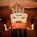 Canomo 5 Pieces Maple 4/4 Full Size Violin Bridge