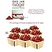 Tsogo Premium Whole Fruit Strawberry Powder, 84g 48 Servings of Premium Quality 100% Whole Freeze-Dried Strawberry Fruit Powder - No Added Flavors, Fillers or Sugars