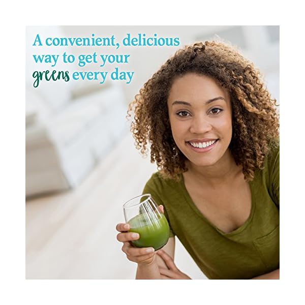 Garden of Life Perfect Food Super Green Formula 30 Servings 45