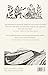 A Little History of Literature (Little Histories)