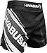 Hayabusa Kickboxing MMA Shorts (Black/White, 30)