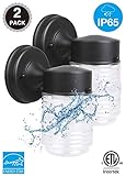 LIT-PaTH LED Wall Lantern, Jelly Jar Light, 9.5W (75W Equivalent) , 800 Lumens, Waterproof and Outdoor Rated, ETL and Energy Star Qualified, 2-Pack
