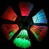 LED Badminton, Inngree 6Pack Shuttlecock Dark Night Goose Feather Glow Birdies Lighting For Outdoor Indoor Sports Activities