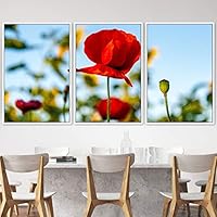 3 Piece Framed Canvas Wall Art Bohemian Bouquet Colorful Canvas Prints Home Artwork Decoration for Living Room,Bedroom - 16
