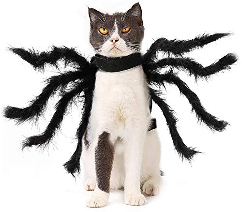 BRONG Cat Halloween Costume, Adjustable Pet Halloween Costume Lifelike Plush Spider for Cats and Small Dogs Halloween Cosplay Party Decoration (M)
