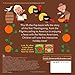 The First Thanksgiving: A Lift-the-Flap Book
