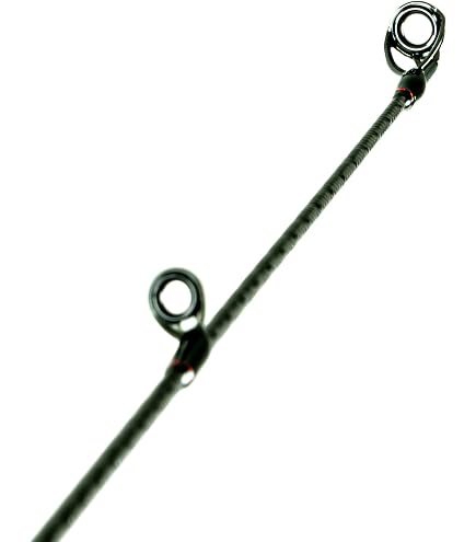 Amazon.com: SHIMANO ZODIAS 76 MH Glass CST A