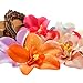 FLOWER 30pcs/lot Artificial Silk Orchid Heads for Wedding Decoration DIY Wreath Gift Scrapbooking Craft Supplies Fake (Purple)