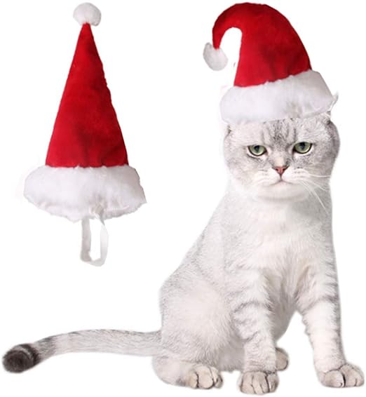 christmas hat accessories