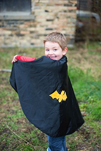 Great Pretenders Reversible Spider/Bat Cape (Small)
