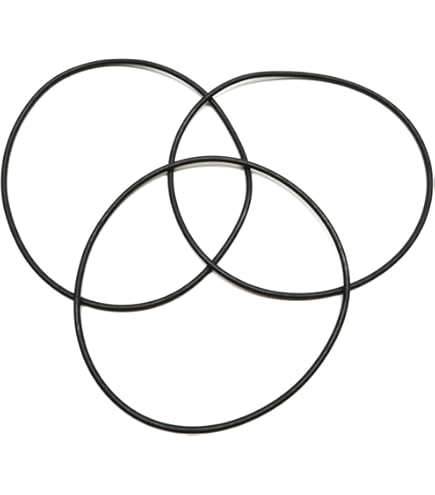 Amazon.com: Pentair 275333 O-Ring Replacement Pool/Spa Filter and