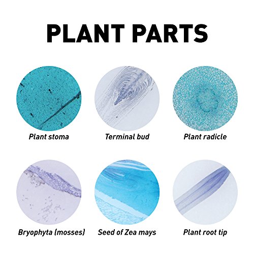 6 GEOGRAPHIC+Professional+Specimens+Microscope+Organization
