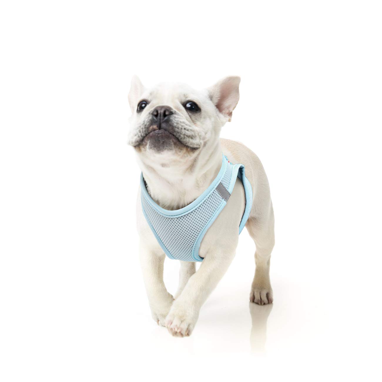 HEELE Dog Harness Small Dog Puppies Step-in Harness Soft Mesh Anti-Escape, Reflective Loop Harness Lightweight Comfortable for Training Walking Running, Blue, L